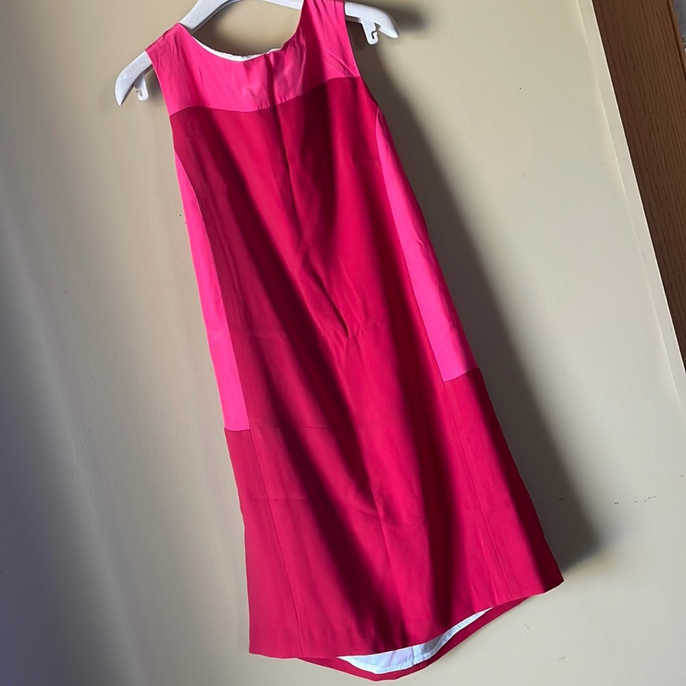 RAG & BONE sz6  pink n red valentine’s sheath silk dress